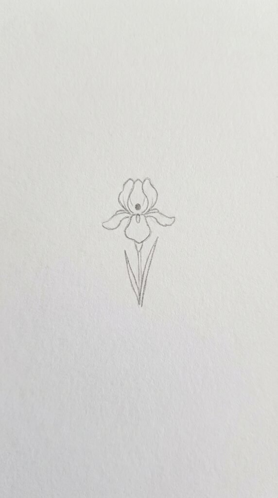 Tiny baby iris flower sketch drawing for beginners with miniature petals and a short thin stem on white paper.