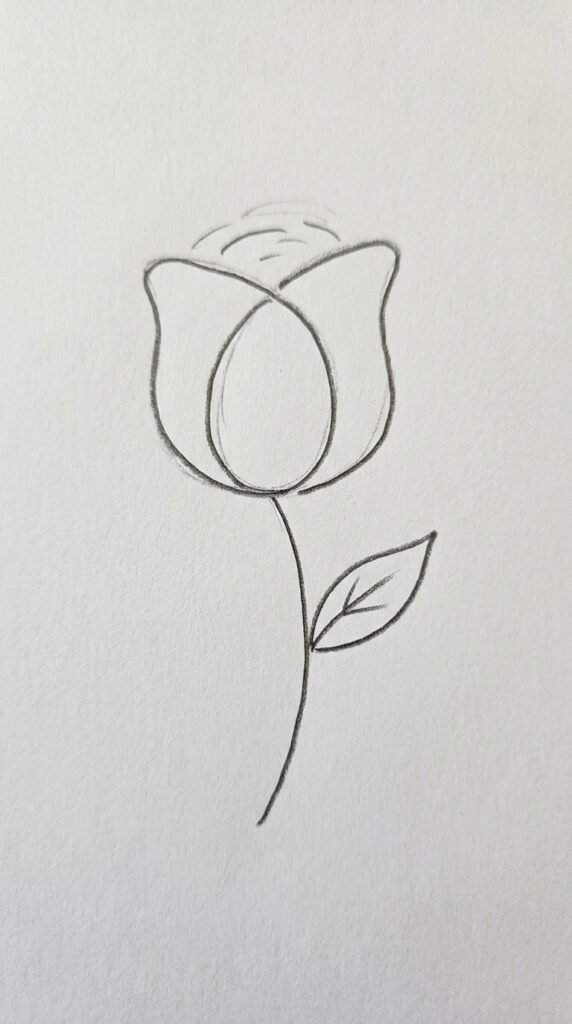 Simple begonia bud pencil drawing with a closed oval center and two wrapping petals on a slim stem for beginners.