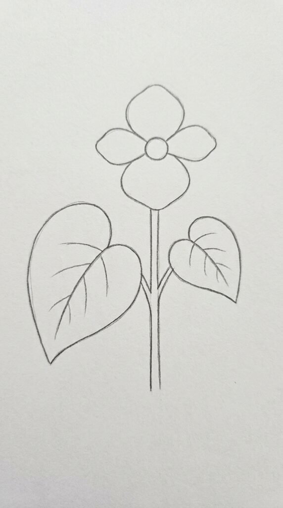 Begonia flower with asymmetric leaves pencil drawing showing one full bloom and two lopsided begonia leaves on a stem for beginners.