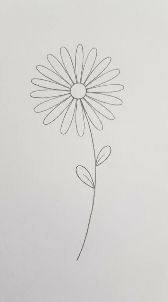 Simple pencil drawing of a classic single daisy flower with round center and evenly spaced petals on white paper