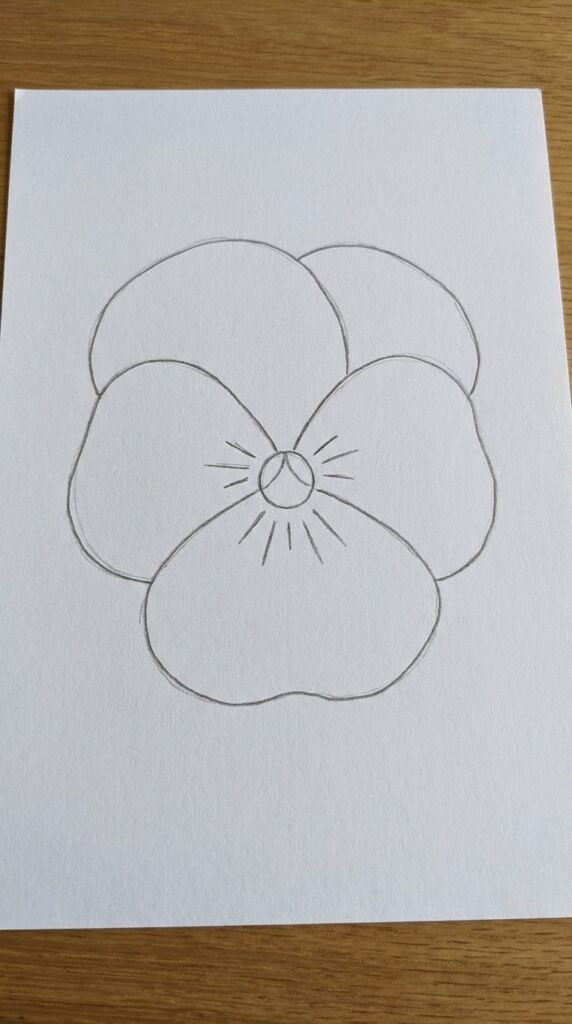 Easy pencil sketch of a pansy flower with detailed curved vein lines on each petal, plain white background, beginner style.