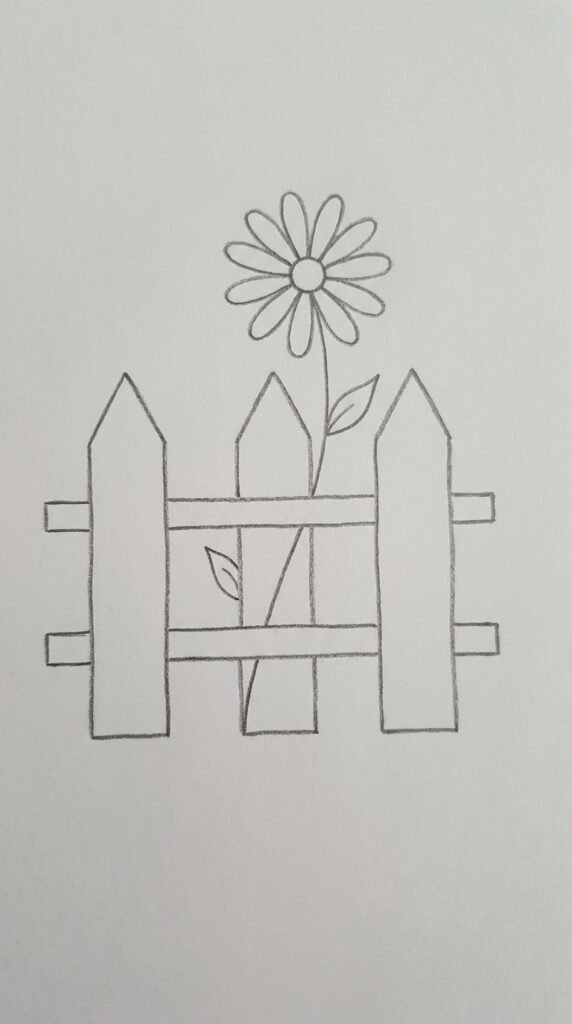 Simple pencil drawing of a single daisy flower growing through a wooden picket fence, charming beginner style on white paper