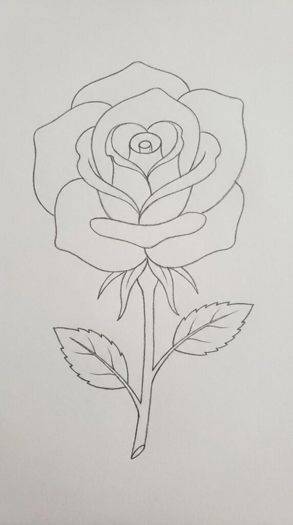 Detailed rose pencil sketch for beginners, multi-layer petal drawing with calyx and leaves.