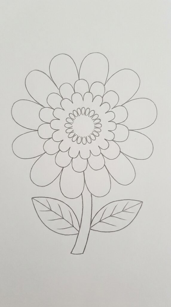 : Double-bloom begonia flower pencil drawing showing three layers of petals from small center outward to large outer ring for beginners.