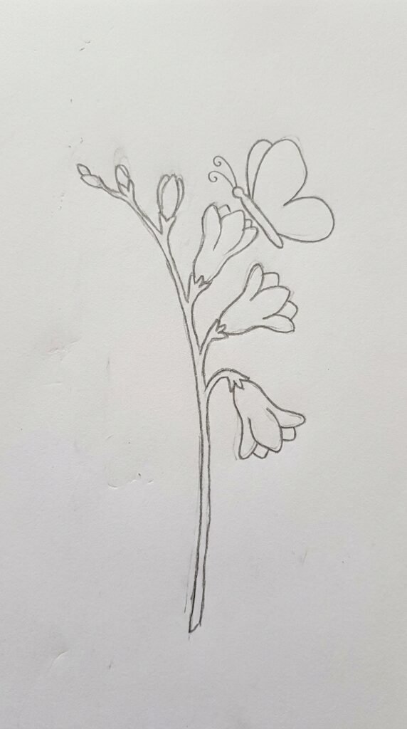  Pencil sketch of a freesia flower stem with a simple butterfly resting on one of the blossoms.