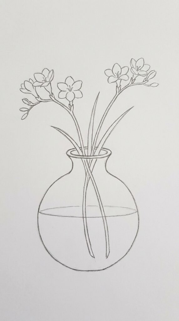 Pencil sketch of freesia flowers with stems and leaves arranged inside a simple round vase.