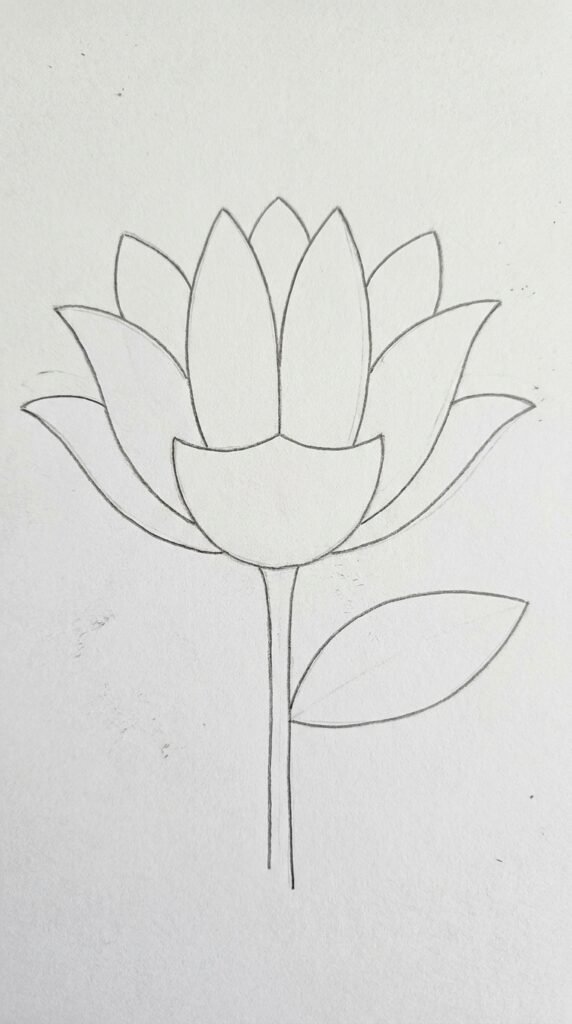 Half-open lotus flower pencil sketch with layered petals curving outward on white paper.
