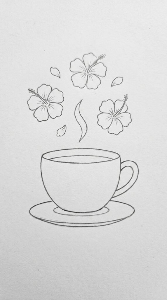Hibiscus tea cup pencil illustration showing a simple cup with saucer and hibiscus flowers floating above it.