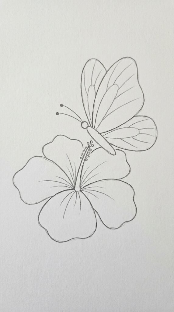 Hibiscus flower with a butterfly resting on it, drawn in simple pencil outline style for beginners.