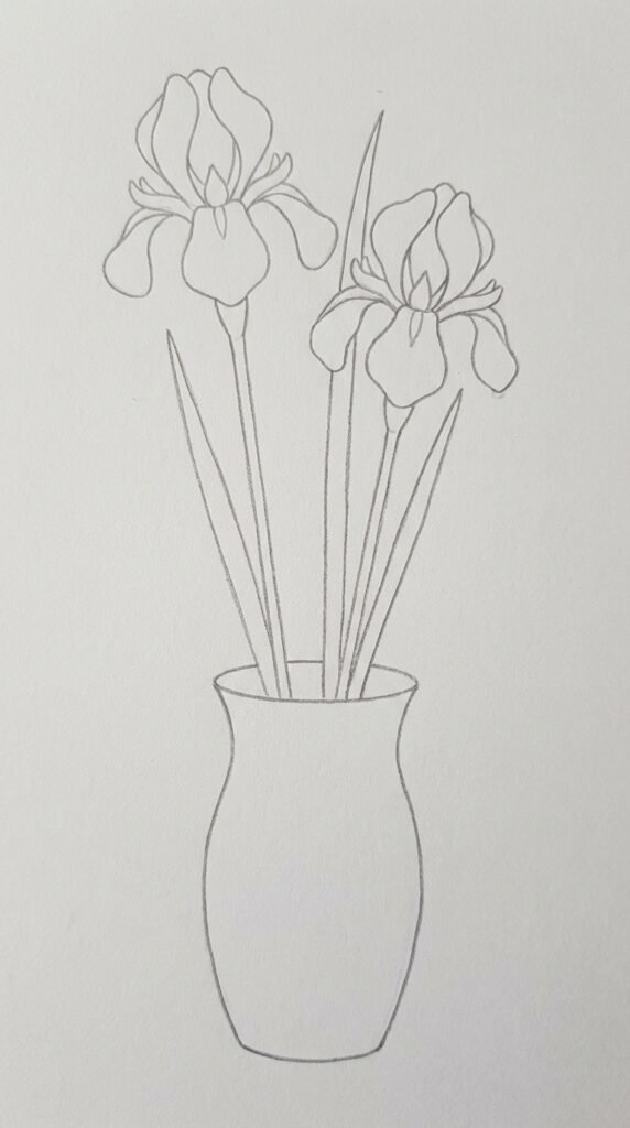 Easy iris flower in a vase drawing for beginners showing multiple blooms with leaves and a simple rounded vase outline.