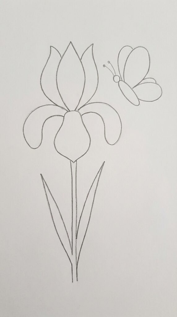 Easy iris flower with butterfly drawing for beginners featuring simple wing shapes and a clean pencil outline on white paper.