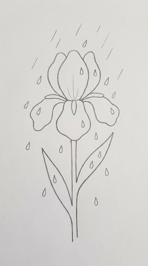 Easy iris flower with raindrops drawing for beginners showing teardrop shapes on petals and scattered around the bloom on white paper.