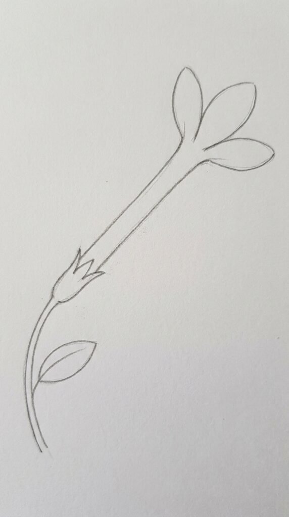 A pencil sketch of a jasmine flower drawn from the side, showing a long slender tube with petals fanning out at the top and a small sepal at the base.