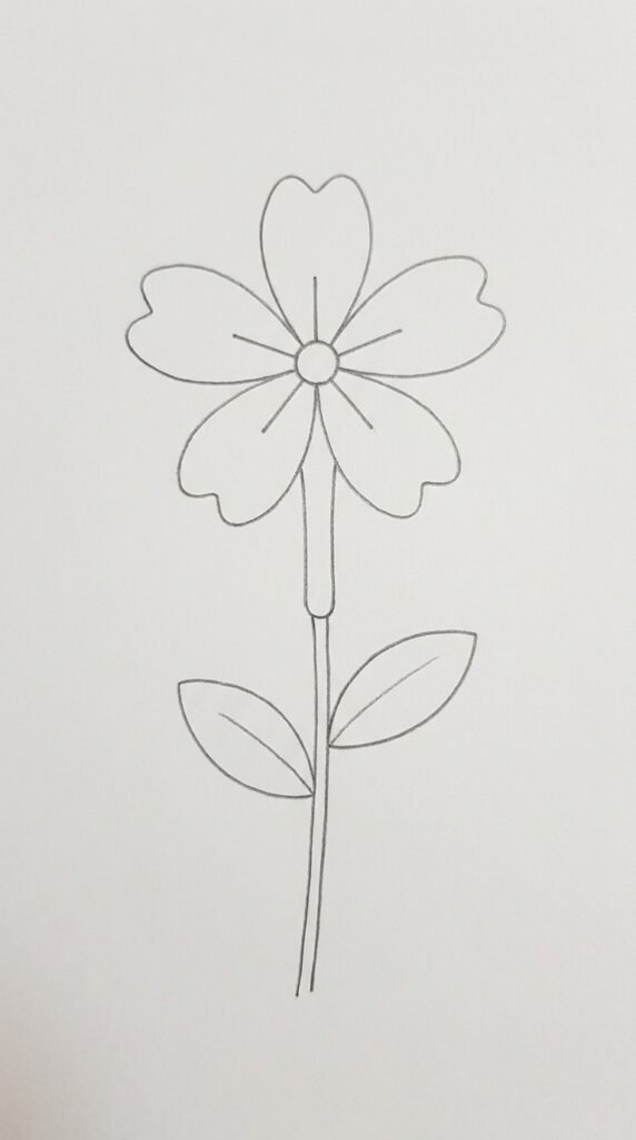 A detailed pencil drawing of a jasmine flower with five notched petals, stamen lines in the center, a narrow tube, and a simple stem with leaves.