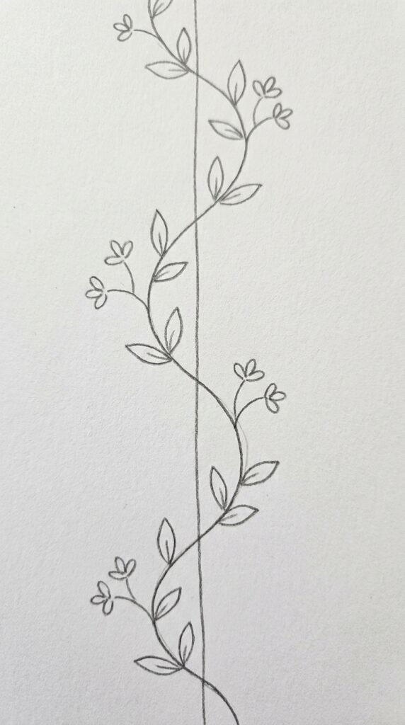 : A pencil drawing of a jasmine vine spiraling around a vertical stem, with small flower clusters and leaf pairs at intervals.