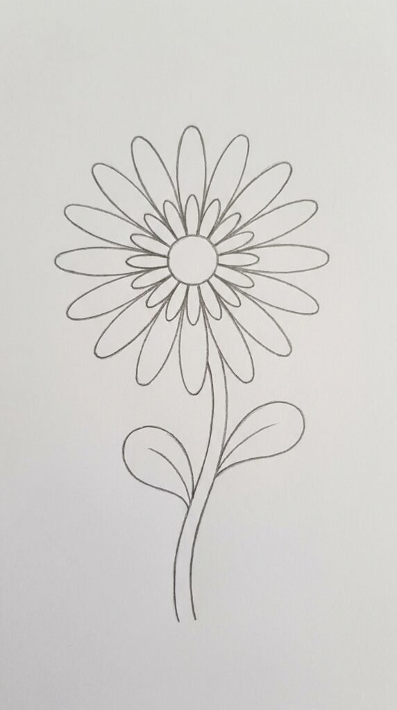 Pencil drawing of a daisy flower with two rows of petals, a short inner ring and longer outer ring, simple style on white paper