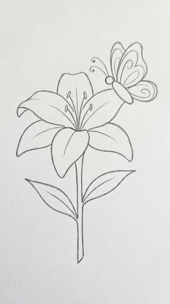 Lily drawing with a small butterfly resting on a petal, simple pencil outline on white paper.
