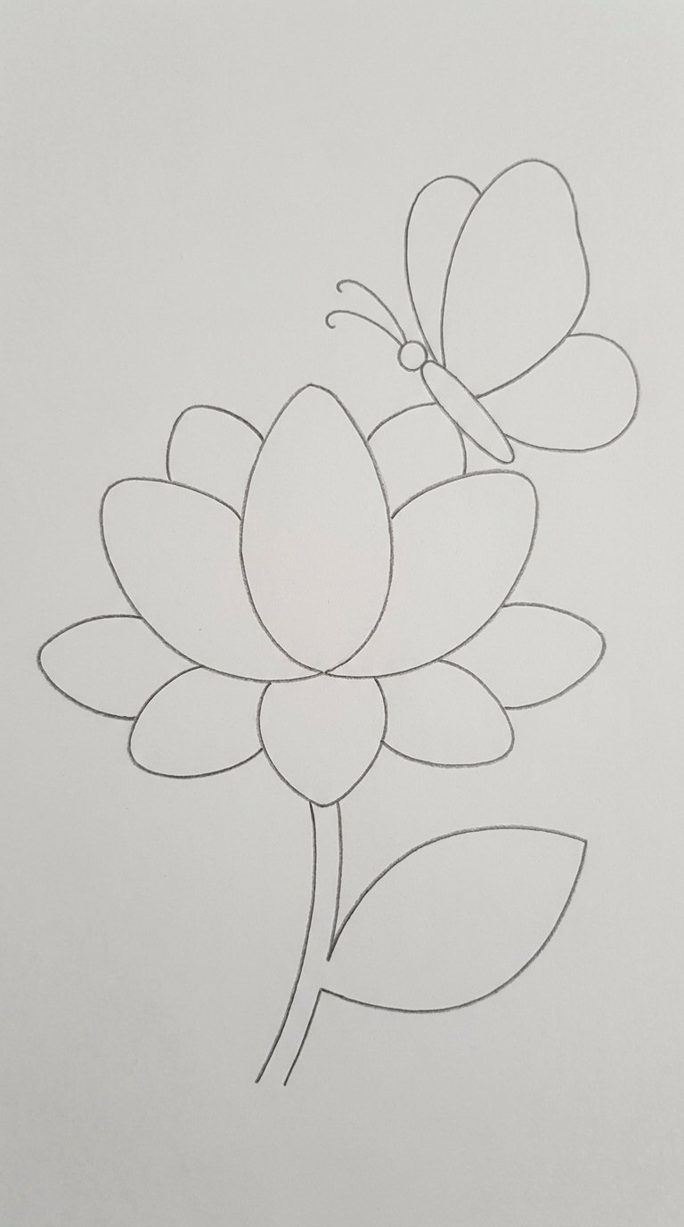 15 Easy Lotus Drawing Ideas for Beginners Step by Step 5 Lotus with Butterfly