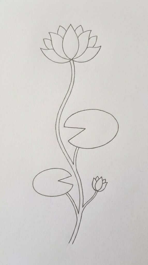 Lotus flower on a long curved stem with lily pads pencil drawing on white paper.