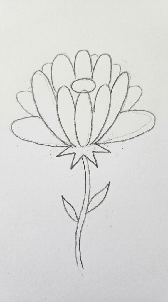Half-open marigold pencil drawing with inward-curved inner petals, flatter outer petals, calyx base, and stem, beginner sketch.