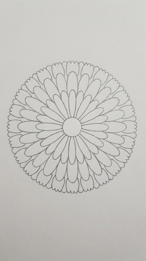 Marigold mandala pencil drawing with three rings of symmetrical petals radiating from a central circle, beginner sketch.