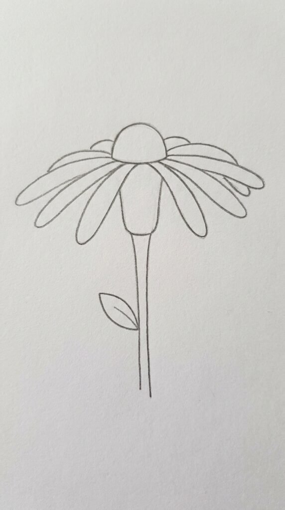 Marigold side profile pencil sketch with dome-shaped head, fanning petals, and a simple stem and leaf, beginner style.