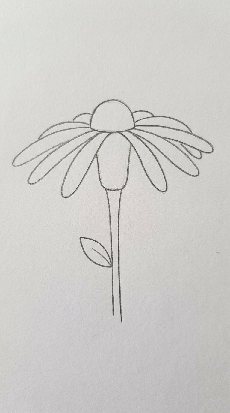 15 Easy Marigold Flower Drawing Ideas for Beginners (Step-by-Step) 9 Marigold Side Profile Drawing