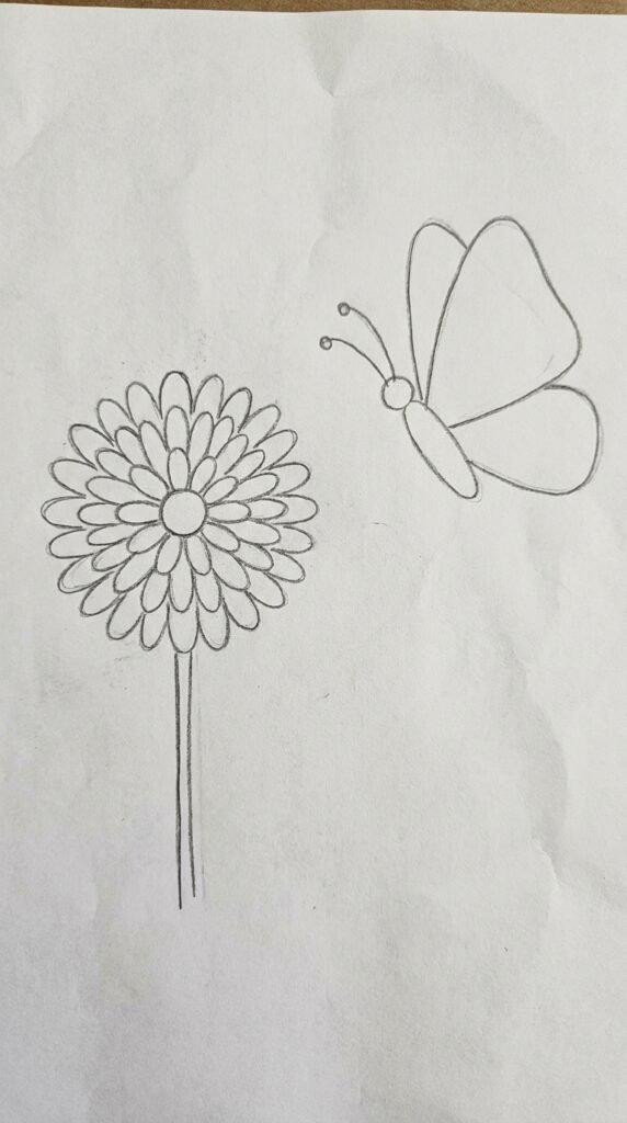 Marigold flower with a simple butterfly pencil drawing, flower on the left and butterfly on the right, beginner sketch style.