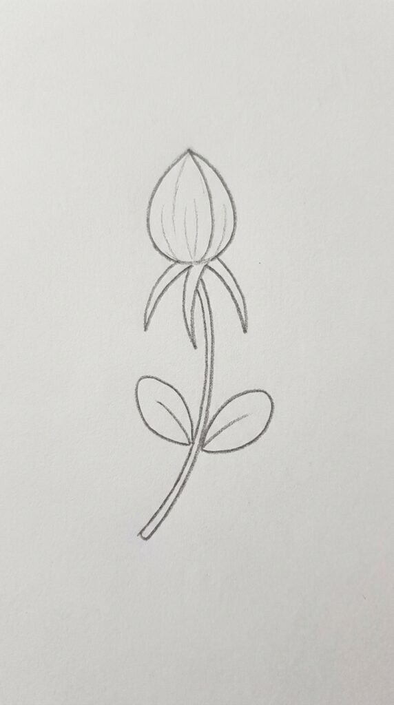 Pencil sketch of a mogra jasmine bud with sepals, a curved stem, and two small leaves on plain white paper.