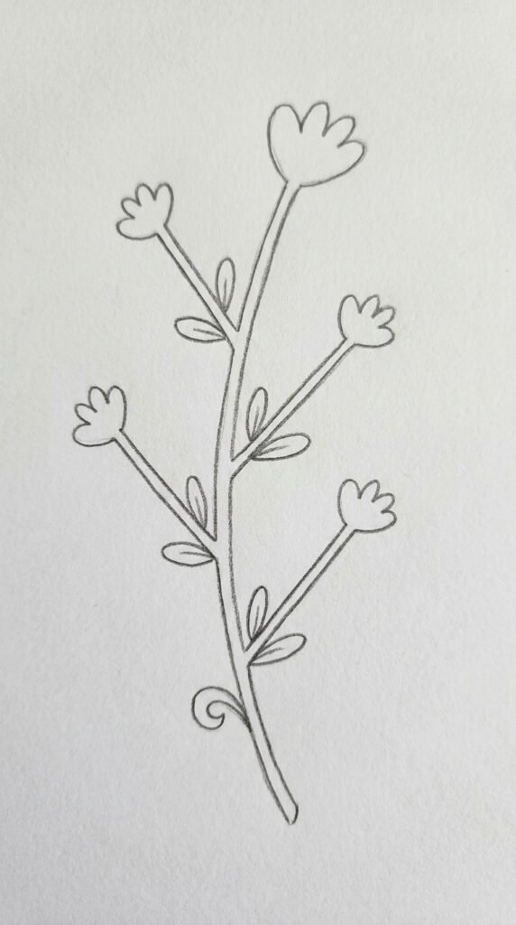 Pencil sketch of a mogra flower sprig with a central stem, branching sub-stems, jasmine blooms, and oval leaves on white paper.