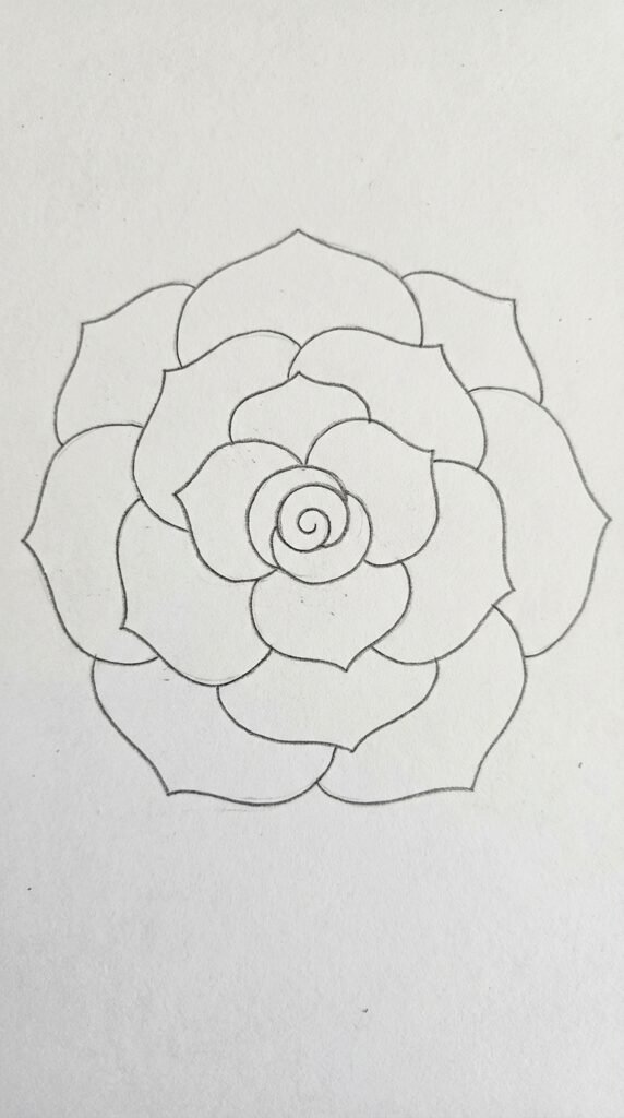 Open rose top view pencil sketch with rings of petals, beginner drawing idea.