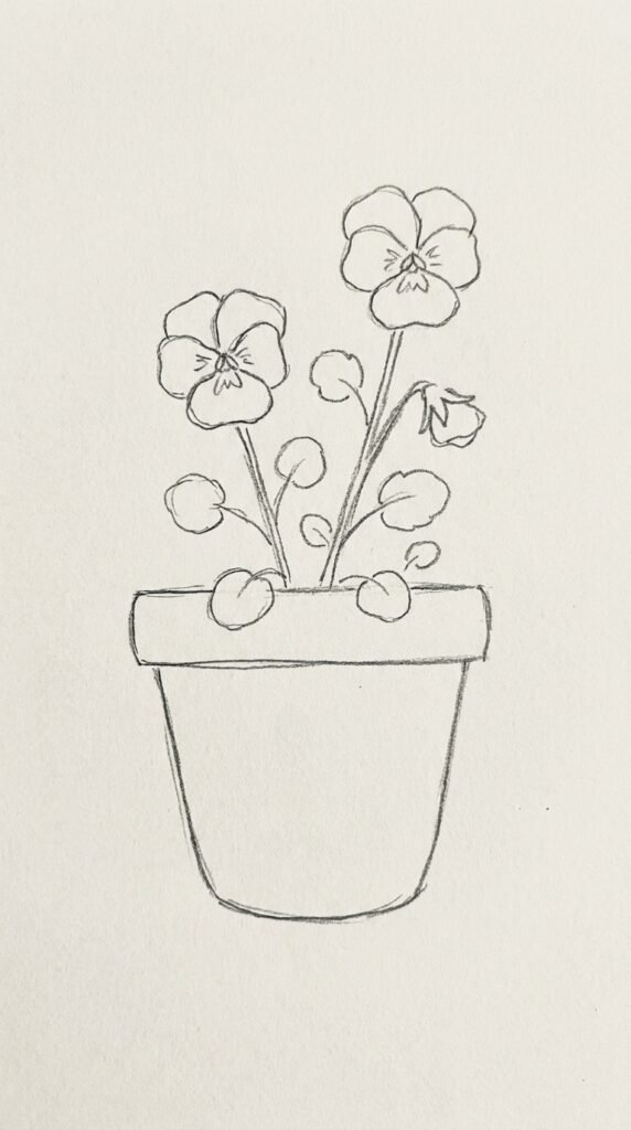 Simple pencil drawing of two pansy flowers growing in a round flower pot with leaves and stems on white paper.