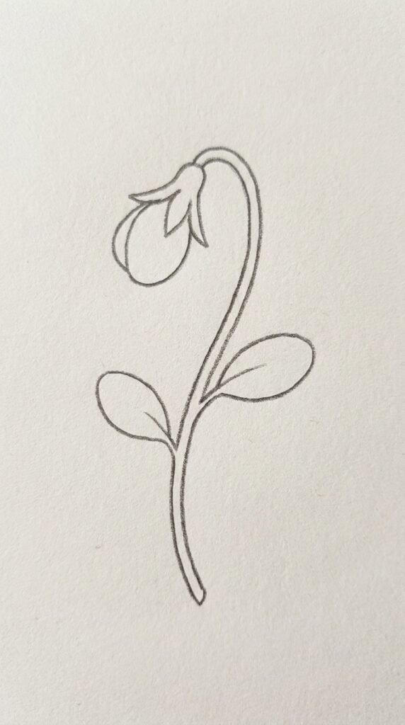  Simple pencil sketch of a closed pansy flower bud on a curved stem with two small leaves and pointed sepals on white paper.