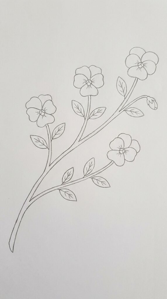  Simple pencil drawing of multiple pansy blooms growing along a diagonal branching stem with leaves and one bud on white paper.