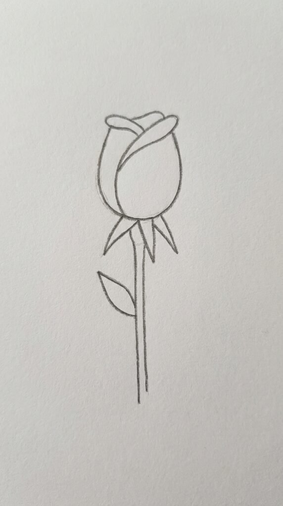 Simple rosebud pencil drawing with calyx and stem, easy beginner sketch.