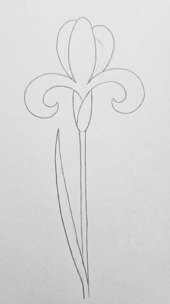 Side view iris flower drawing for beginners showing curling petals, a narrow stem, and a long pointed leaf on white paper.