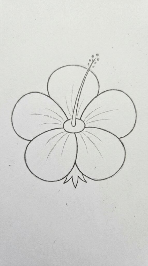 Simple front-view hibiscus flower pencil drawing for beginners with five rounded petals and a central stamen.