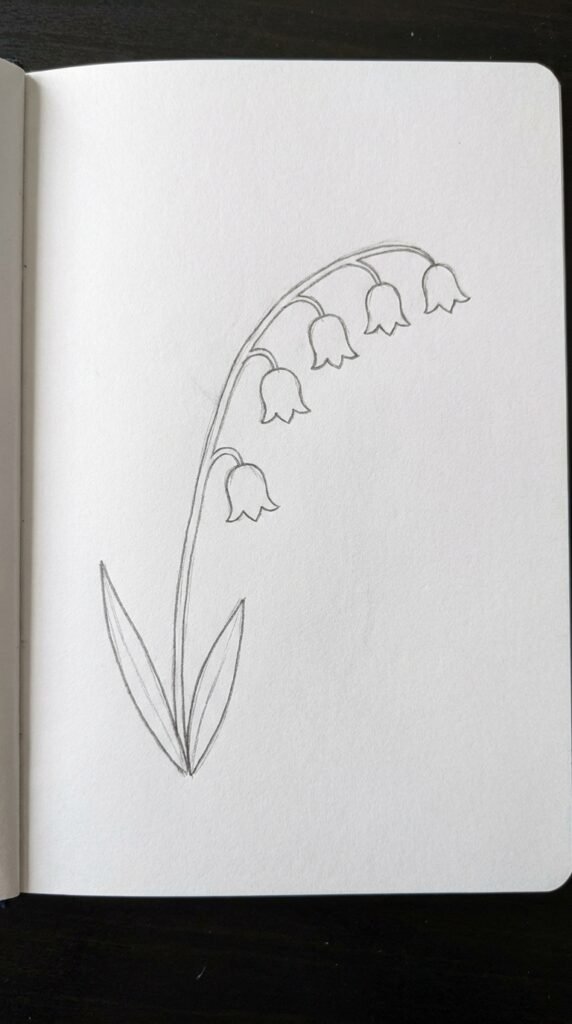 Simple pencil drawing of a single stem freesia flower with five blossoms and two leaves.