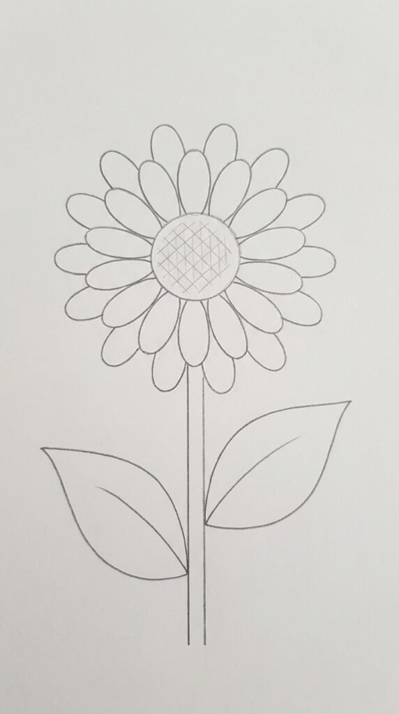  Simple pencil outline drawing of a single sunflower with round center, layered petals, straight stem, and two leaves on white paper.