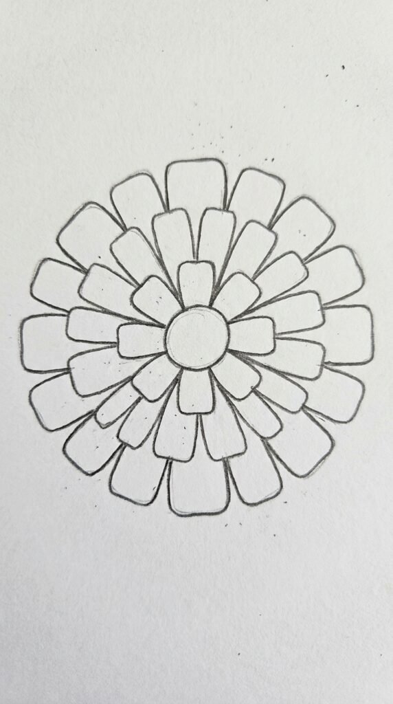 Front-view marigold pencil sketch with symmetrical petals radiating from a central oval, drawn with simple HB pencil lines.
