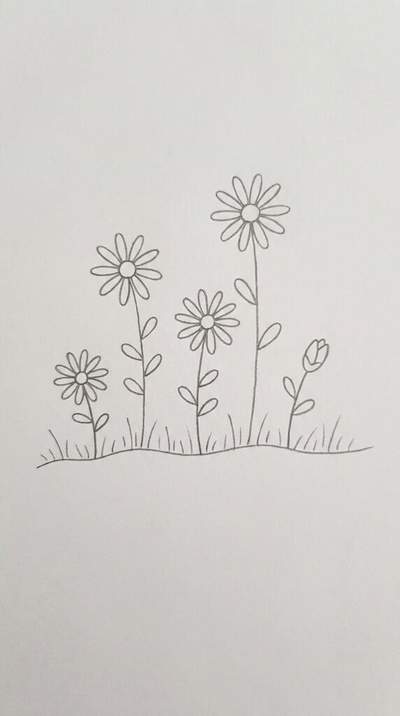 Simple pencil drawing of a small daisy flower field with grass and several daisies at different heights, beginner style on white paper