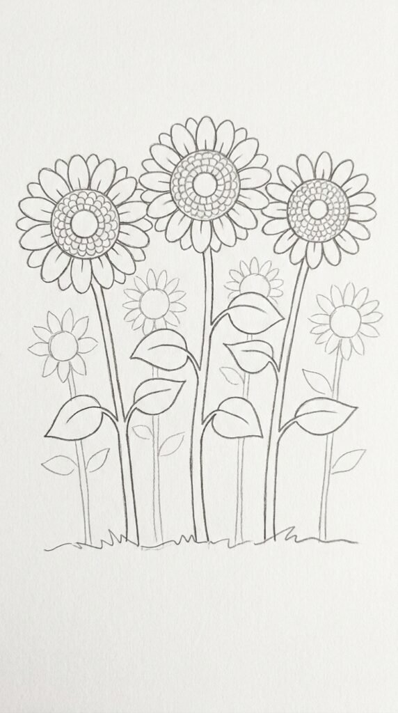 Pencil drawing of a row of sunflowers at different heights suggesting a sunflower field, with overlapping stems and leaves