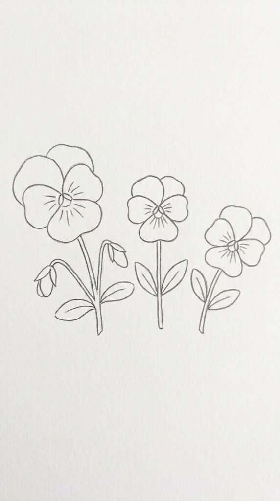 Pencil sketch of three pansy flowers in a row connected by stems and leaves on white paper, simple beginner drawing.