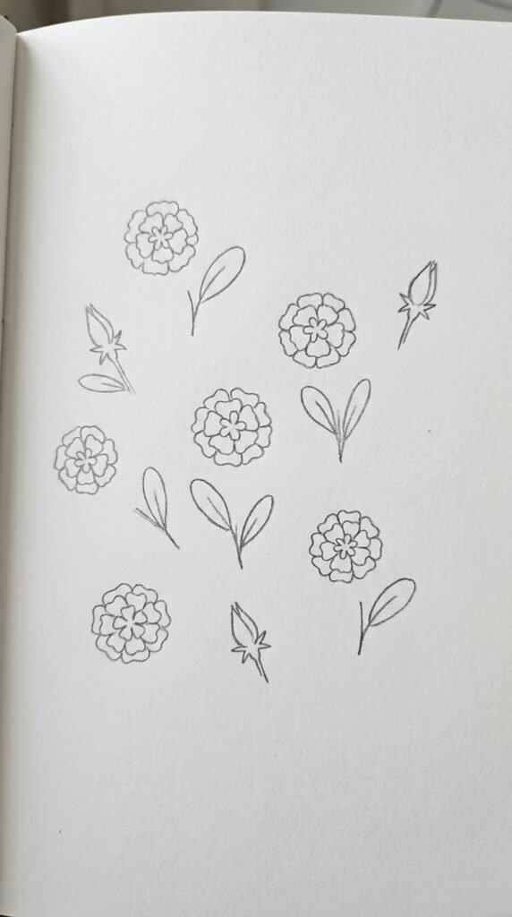 Scattered tiny marigold doodle set pencil drawing with flower heads, buds, and leaves in various sizes across the page, beginner style.