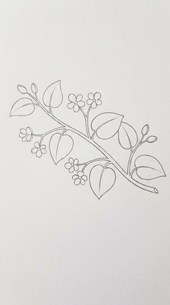: Trailing begonia branch pencil drawing with a long curved stem, multiple small blooms and large leaves spaced along it for beginners.