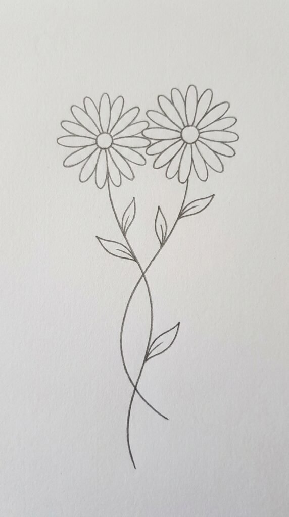 Pencil drawing of two daisy flowers with stems intertwined and twisted together, romantic simple style on white paper
