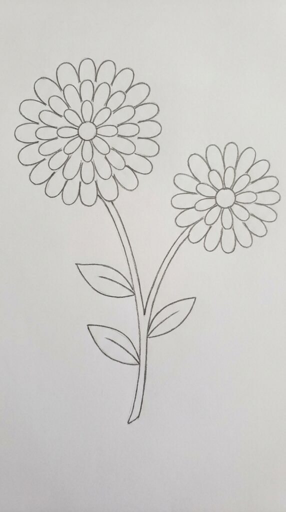 Two marigold flowers on merged stems pencil drawing, one larger and one smaller with leaves, beginner sketch style.