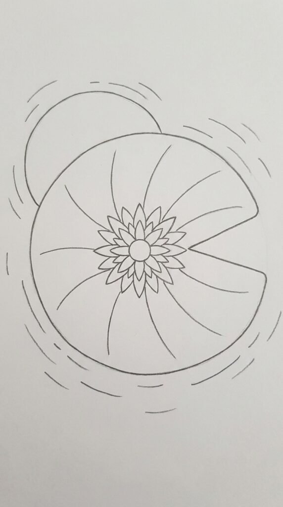 Water lily on a pond pad drawing seen from above with vein pattern and ripple lines.
