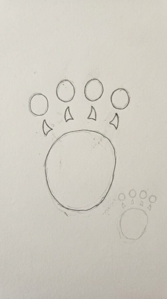 Bear Paw Print