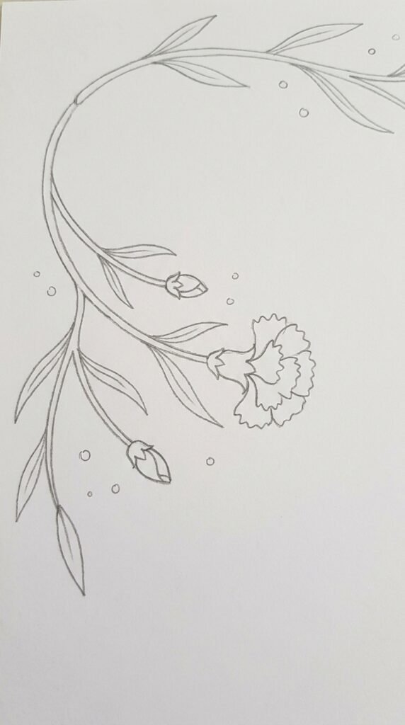 12 Carnation Flower Drawing Ideas for Beginners 10 Carnation Corner Border Drawing
